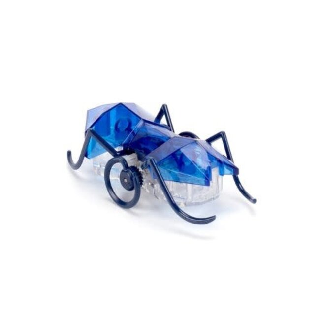 Hexbug Speelgoed - Hexbug Micro Ant, assorti