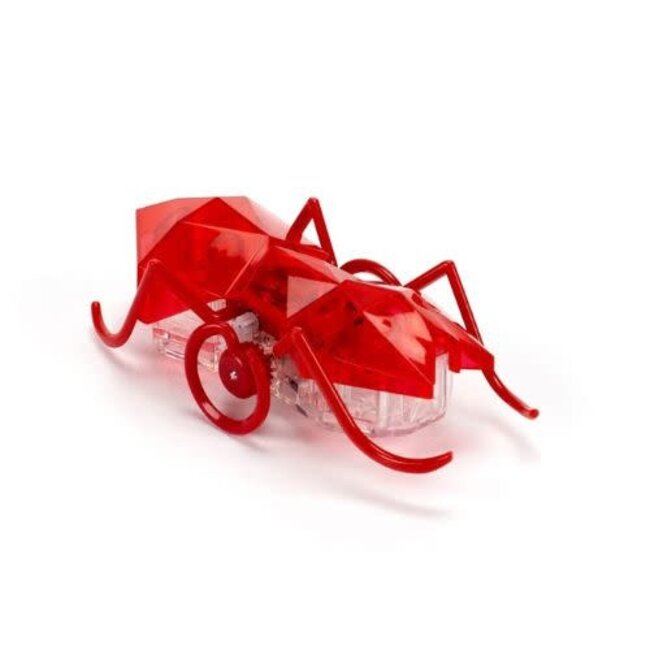 Hexbug Speelgoed - Hexbug Micro Ant, assorti