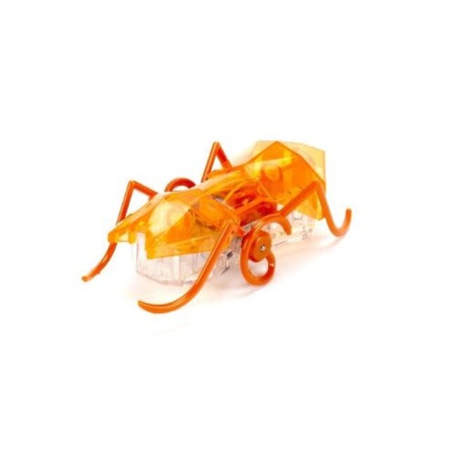 Hexbug Speelgoed - Hexbug Micro Ant, assorti