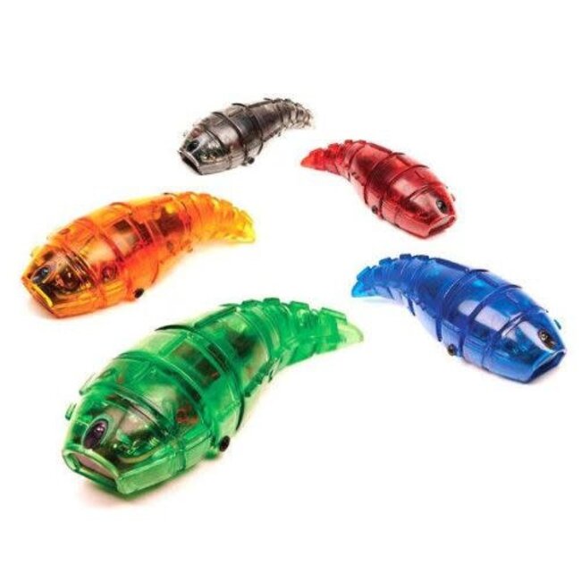 Hexbug Speelgoed - Hex Bug Larva