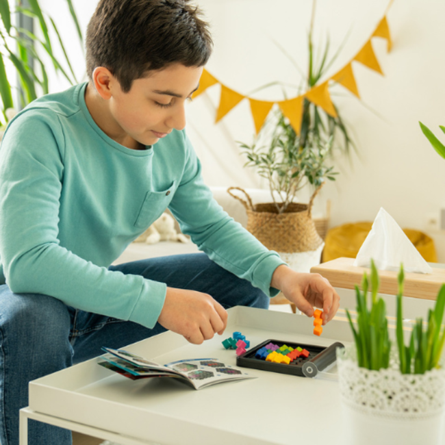 SmartGames IQ Perplex (120 opdrachten)