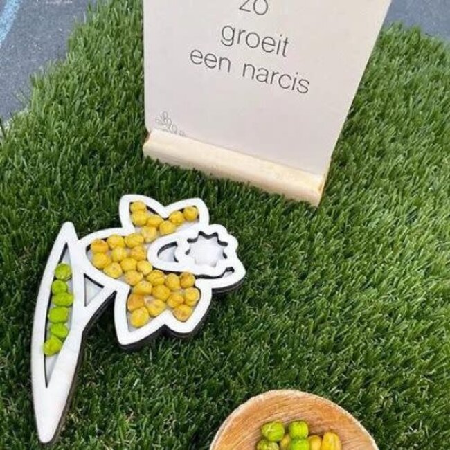 Hippe Hoeken Sensomotorisch speelgoed, Houten Versiervorm Narcis (13x10cm)