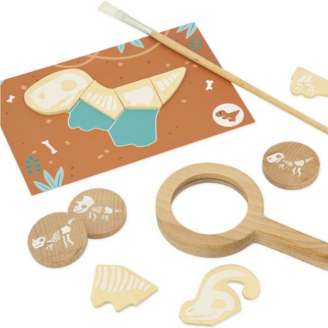 Janod Experimenteren en ontdekken - Dino Graaf Set, 4+