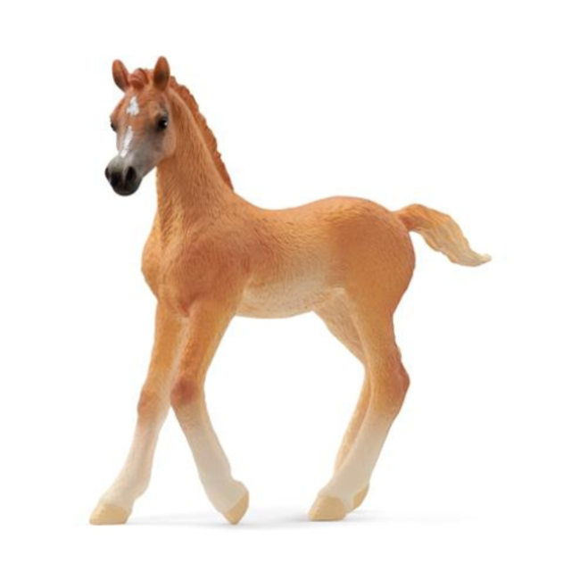 Schleich Schleich Horse Club - Arabisch veulen
