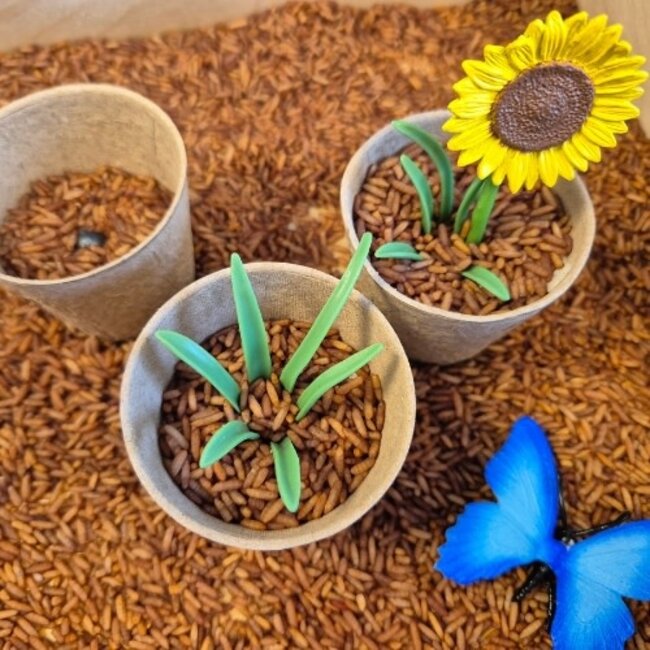 Sensorisch speelgoed, Sensory Bin - Speelset 'In de tuin'