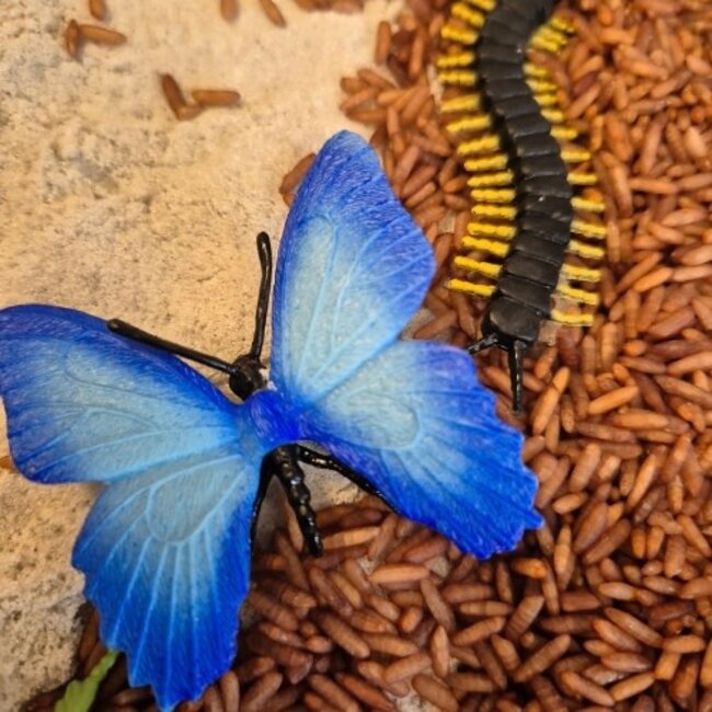 Sensorisch speelgoed, Sensory Bin - Speelset 'In de tuin'