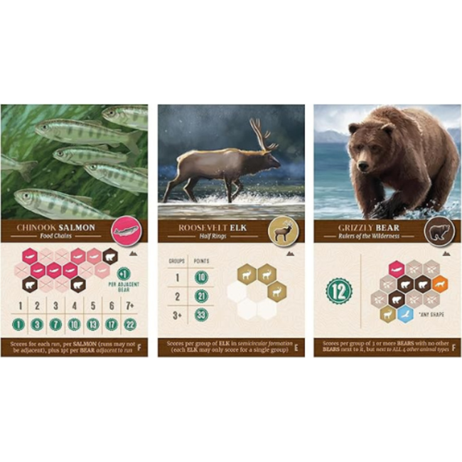 White Goblin Games Spellen, Familiespellen - Cascadia: Landmarks