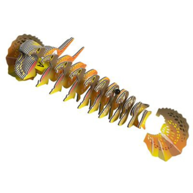 Eugy Knutselen, Knutselpakketten - Eugy 3D Model: Hagedis, 6+