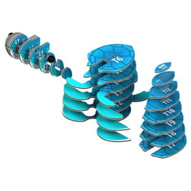 Eugy Knutselen, Knutselpakketten - Eugy 3D Model: Schildpad, 6+