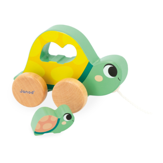 Janod Janod - Box 18 maanden motorische vaardigheden