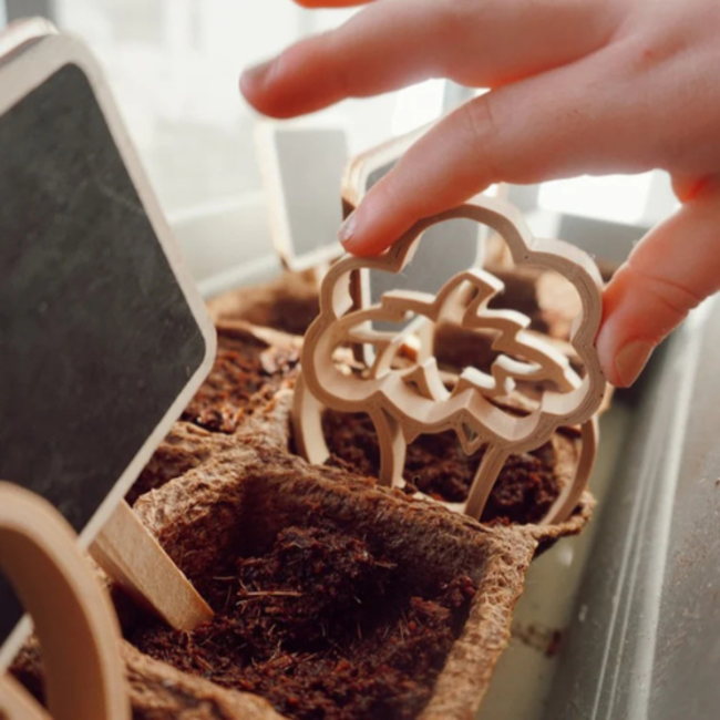 Grennn Sensorisch speelgoed, Accessoires - Uitstekers groente