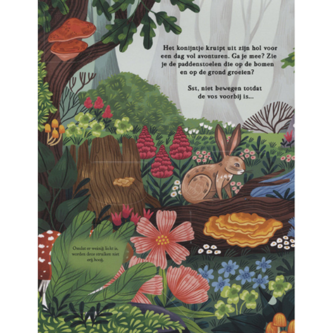 Boeken, Zoek&Vind  - in het bos 2+