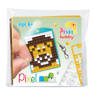 Pixelhobby Knutselen, Pixelhobby - Medaillion startset, Leeuw 6+