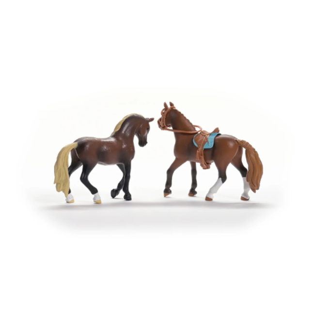 Schleich Horse Club - Horseclub “Pas Peruano” Startersset