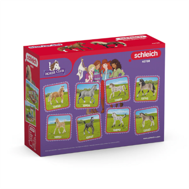 Schleich Horse Club - Horseclub “Pas Peruano” Startersset