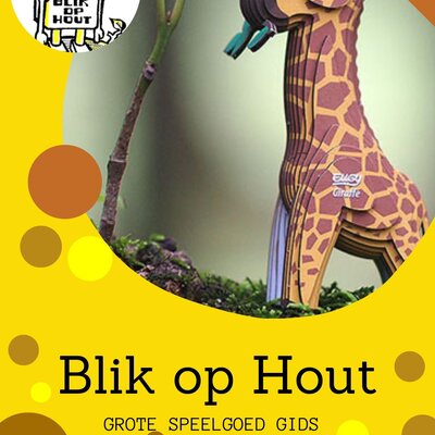 Sinterklaas Grote Speelgoed Gids