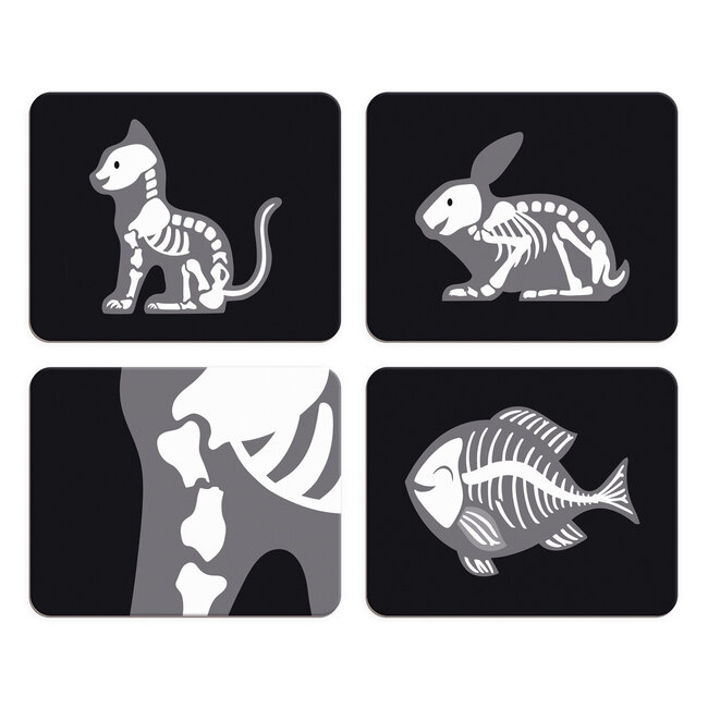 Janod Dierenarts set