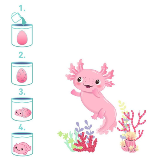 Magisch axolotl ei 2 assorti