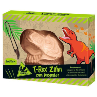 Experimenteren en ontdekken - Uithakset Dino: T-rex tand met ketting
