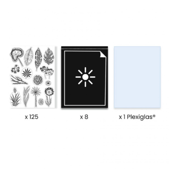 Djeco Knutselpakket - Cyanotype Night Savannah