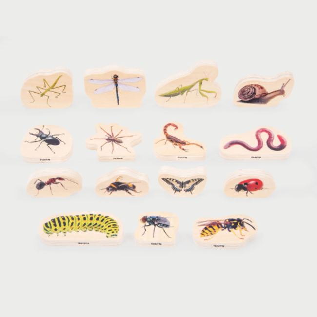 Tickit Houten blokken insecten