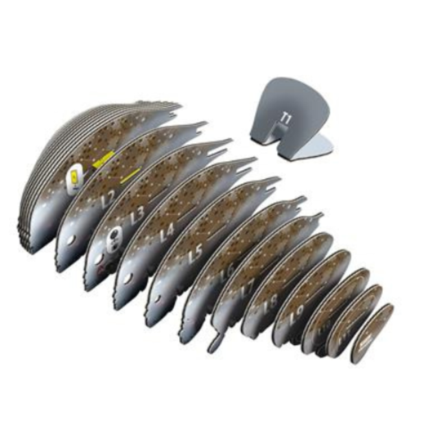 Eugy Eugy Knutselen, Knutselpakketten - Eugy 3D Model:  Zeekoe, 6+