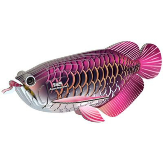 Eugy Eugy Knutselen, Knutselpakketten - 3D modelkit Asian arowana 6+
