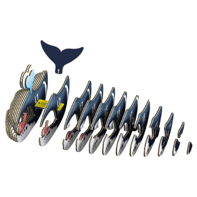 Eugy Eugy Knutselen, Knutselpakketten - Eugy 3D Model: Groenlandse Walvis 6+