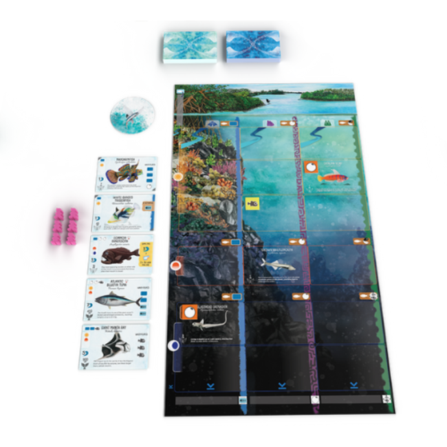 999 Games Bordspellen,  Finspan 10+