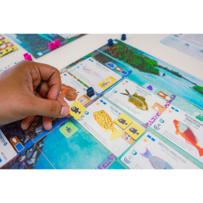 999 Games Bordspellen,  Finspan 10+