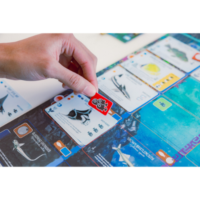 999 Games Bordspellen,  Finspan 10+