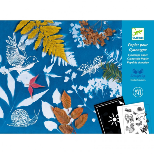 Djeco Knutselen, Knutselpakket - Papier voor cyanotypie