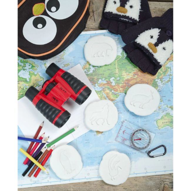 Yellow Door Yellow Door Let's Investigate, Polar Footprints