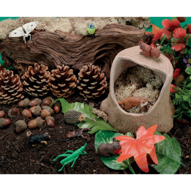 Yellow Door Yellow Door Tree Stump