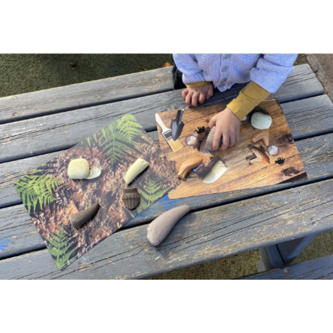 Yellow Door Yellow Door - Prehistoric Teeth – Explore and Discover Activity Cards