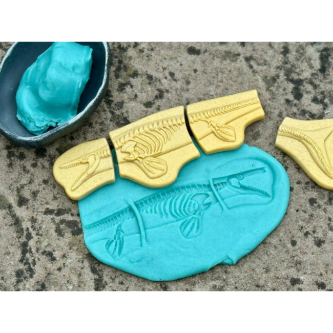 Yellow Door Yellow door, sensomotorische speelstenen - Pliosaurus & Stegosaurus