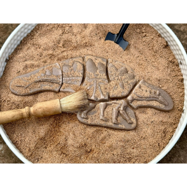 Yellow Door Yellow door, sensomotorische speelstenen - Pliosaurus & Stegosaurus