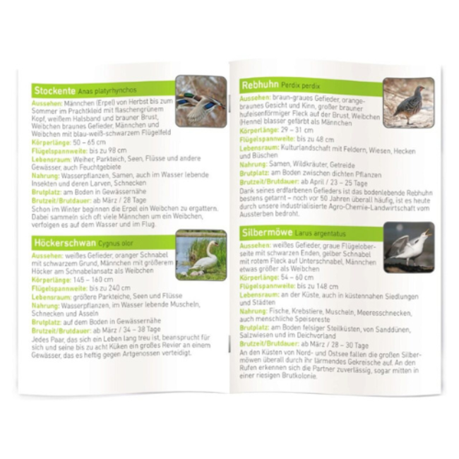 moses. Verlag Speelgoed - Diashow Vogels incl. boekje