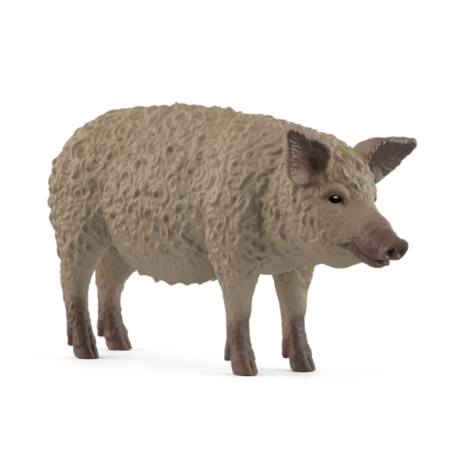 Schleich schleich farm world - wolvarken