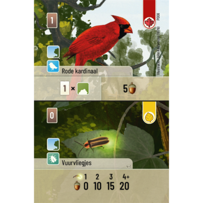Asmodee Spellen, Kaartspellen - Forest Shuffle Exploration NL
