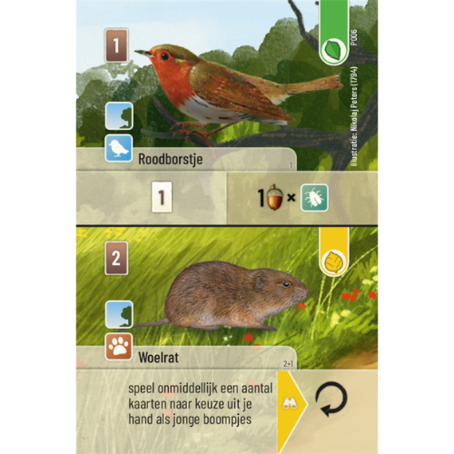 Asmodee Spellen, Kaartspellen - Forest Shuffle Exploration NL