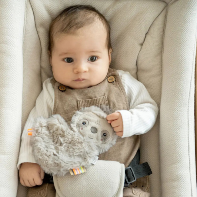 Fehn Lazy, Crazy, Pink - Crinkle sloth