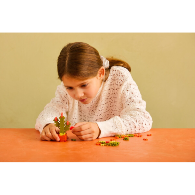 Plus Plus Cactus Plus-Plus Flowers & Plants, 5+