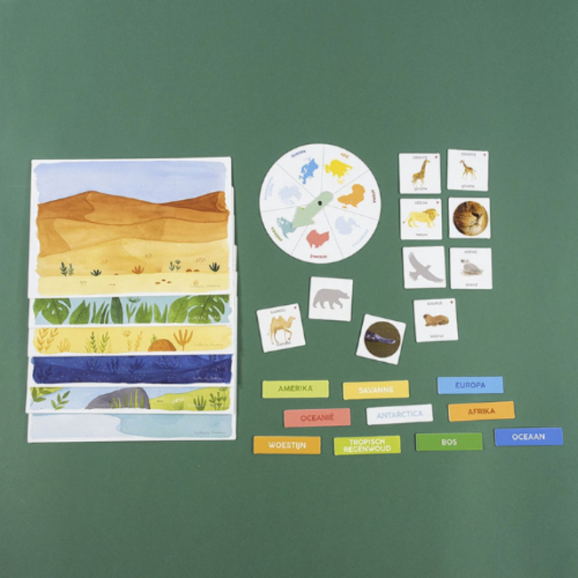 Jumbo Educatief - Ik leer ontdekken dieren, 3+