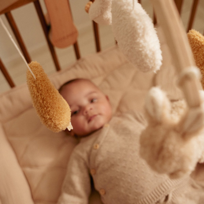 Little Dutch Little Dutch Newborn Muziekmobiel FSC