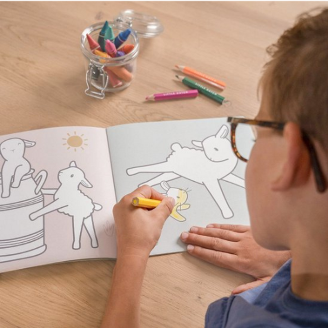 Little Dutch Kleuboek, Little Dutch - Little Farm Sketch & colour