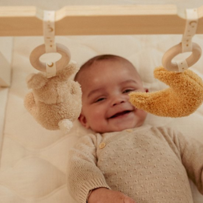 Little Dutch Little Dutch Naturals Newborn Babygym