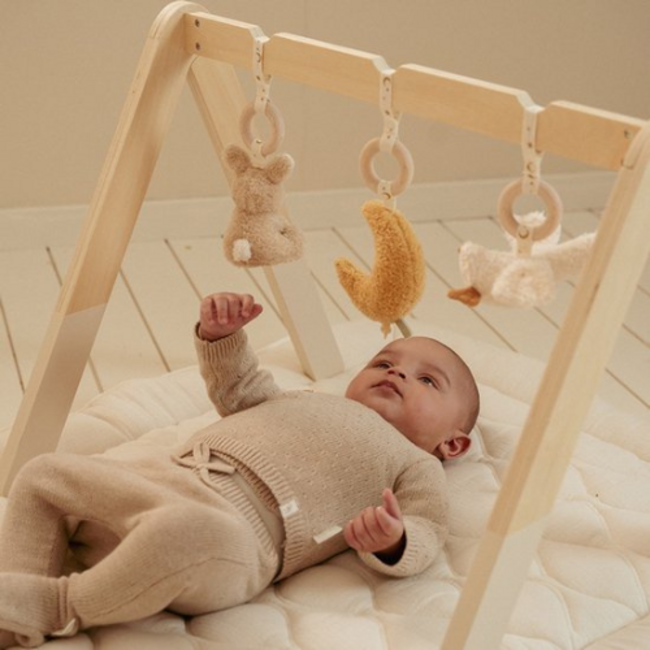 Little Dutch Little Dutch Naturals Newborn Babygym