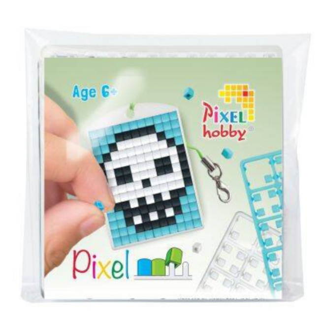 Pixelhobby Medaillion startset - Schedel