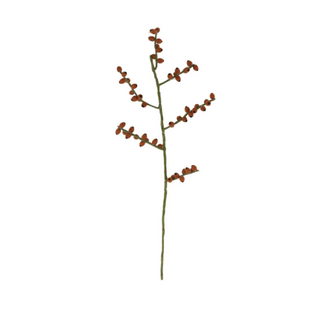 Sjaal met Verhaal Bloem: Tak Bes Rozenbottel